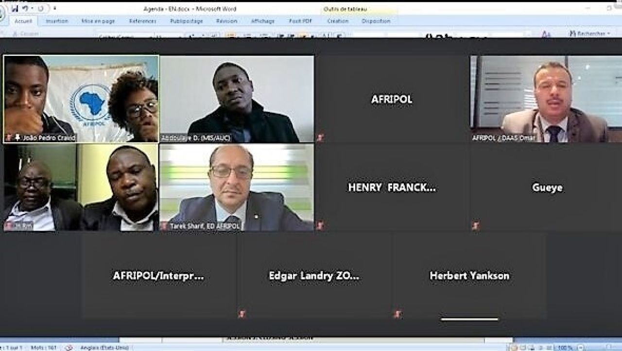 Working Group on Cybercrime